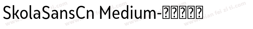 SkolaSansCn Medium字体转换